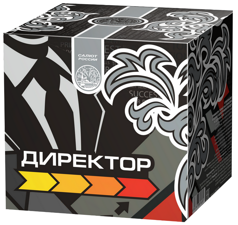 Директор 8/1